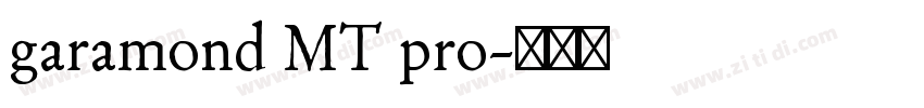 garamond MT pro字体转换